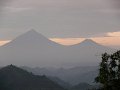 496 484 P1140044